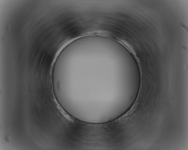X0000097610816200802290754