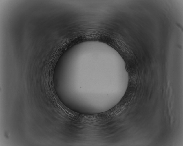X0000097610817200802290754
