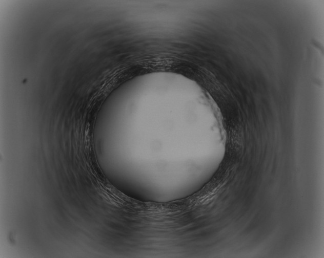 X0000097610818200802290754