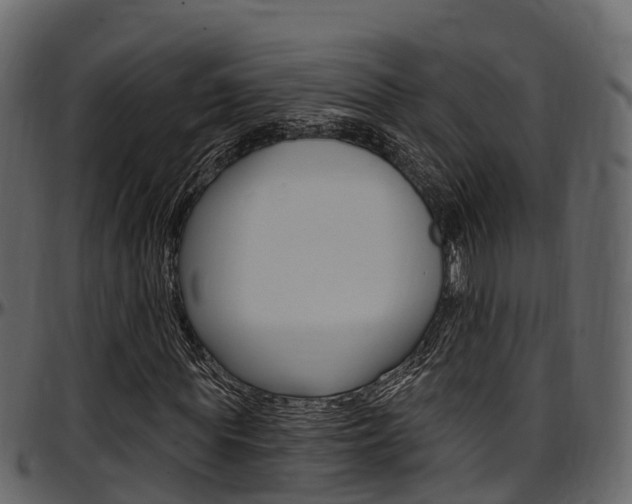 X0000097610819200802290754