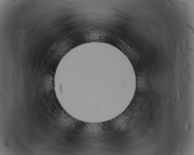 X0000097610820200802290754