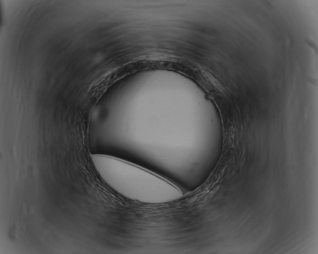 X0000097610821200802290754