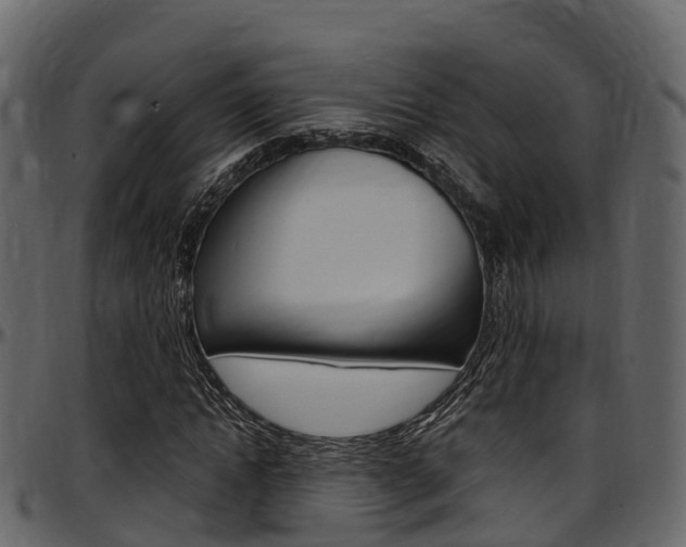 X0000097610822200802290754