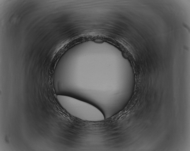 X0000097610823200802290754