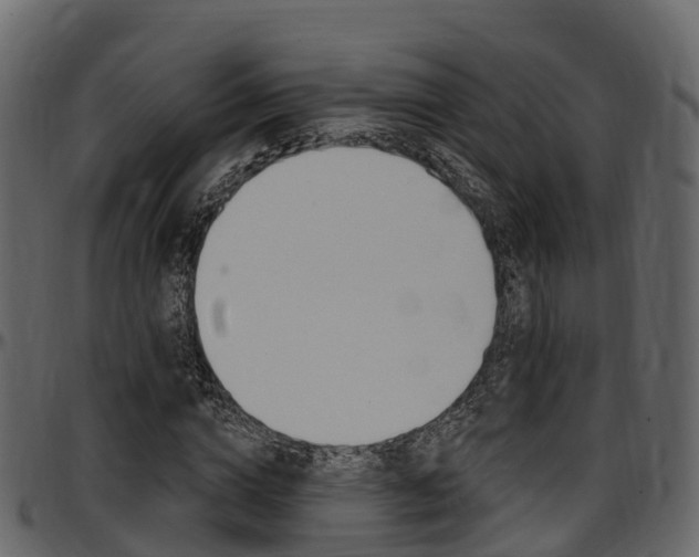 X0000097610824200802290754