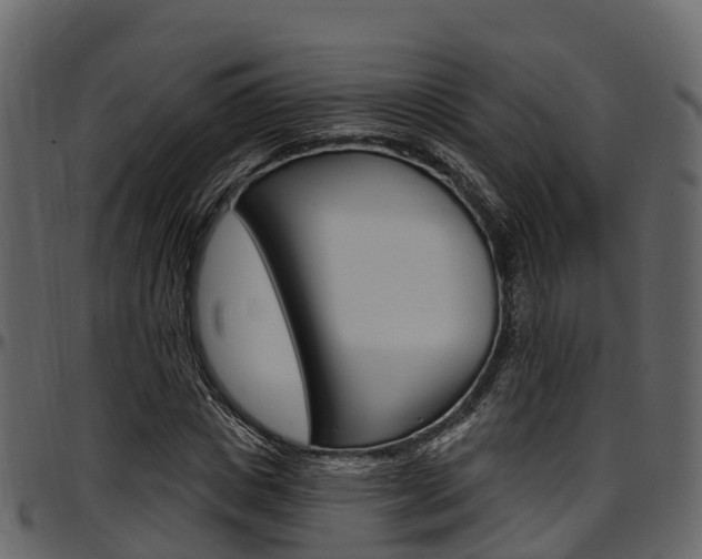 X0000097610825200802290754