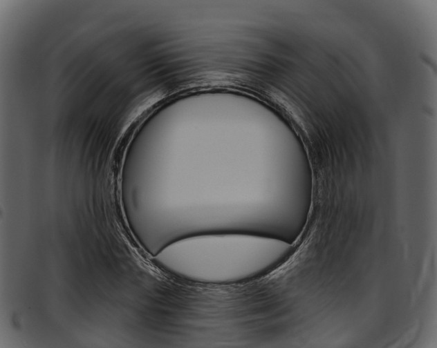 X0000097610827200802290754