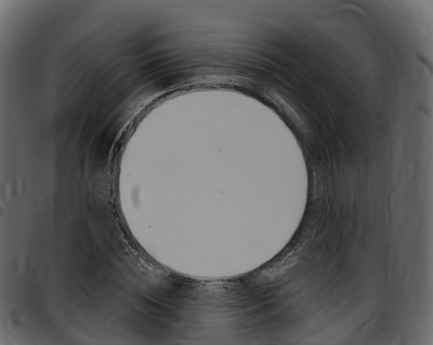 X0000097610828200802290754