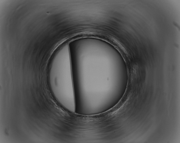 X0000097610829200802290754