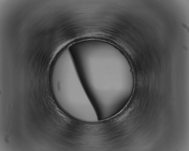X0000097610830200802290754