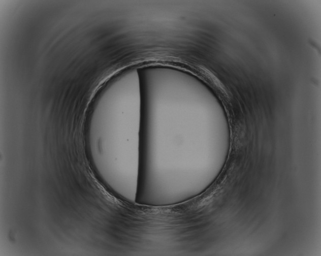 X0000097610831200802290754