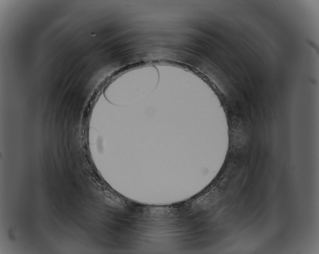 X0000097610832200802290754