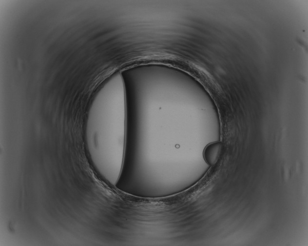 X0000097610833200802290754