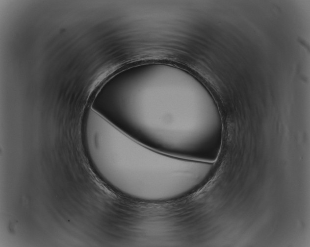 X0000097610834200802290754