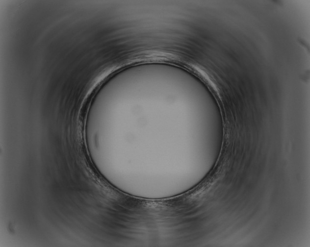 X0000097610835200802290754