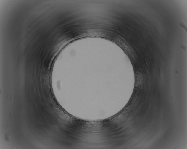 X0000097610836200802290754