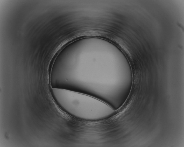 X0000097610837200802290754