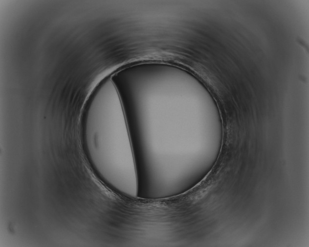 X0000097610838200802290754