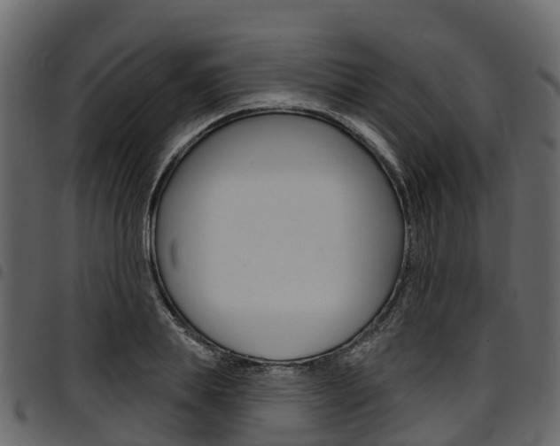 X0000097610839200802290754
