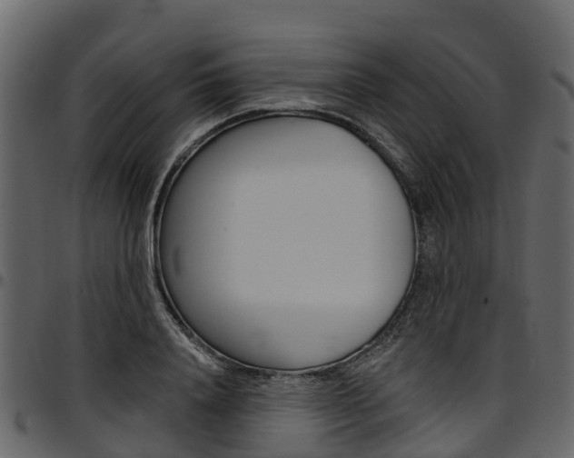 X0000097610840200802290754