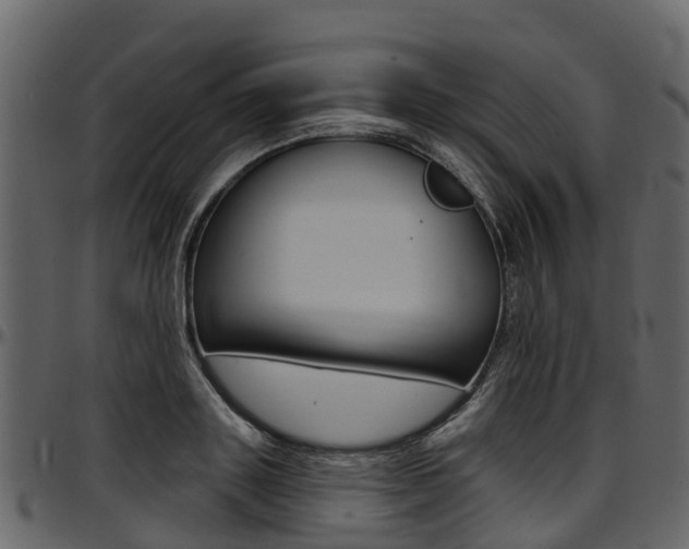 X0000097610843200802290754