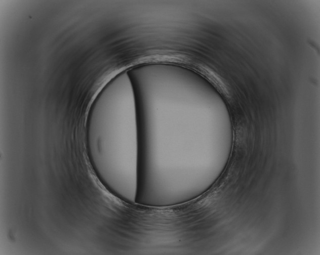 X0000097610844200802290754