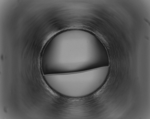 X0000097610846200802290754