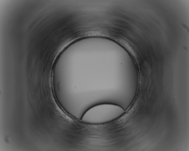 X0000097610847200802290754