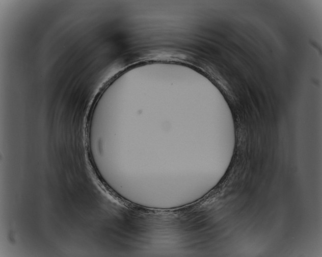 X0000097610848200802290754