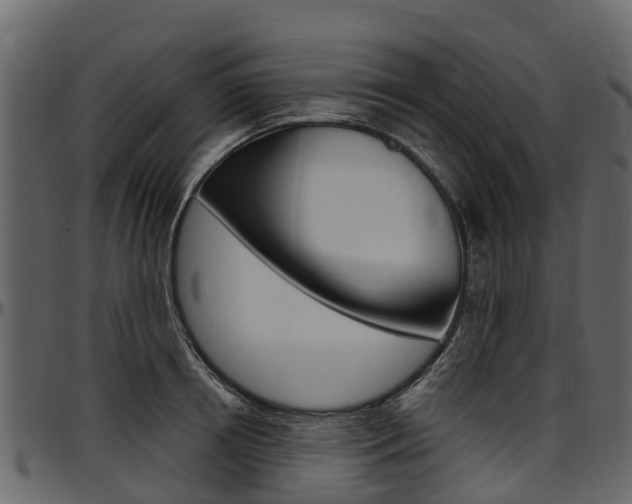 X0000097610850200802290754