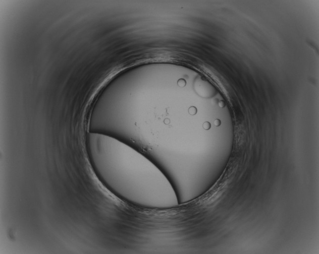X0000097610851200802290754