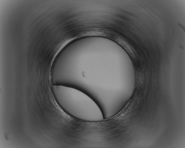 X0000097610852200802290754