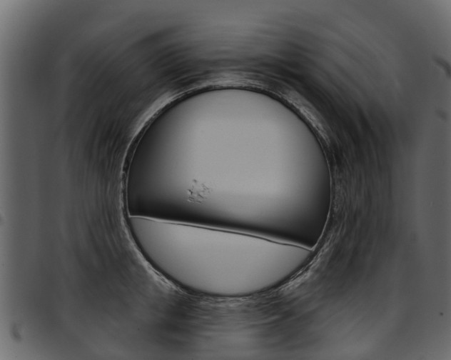 X0000097610853200802290754