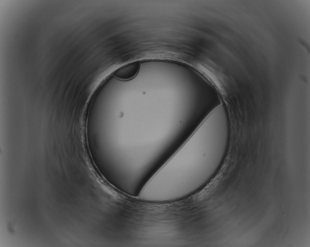 X0000097610854200802290754