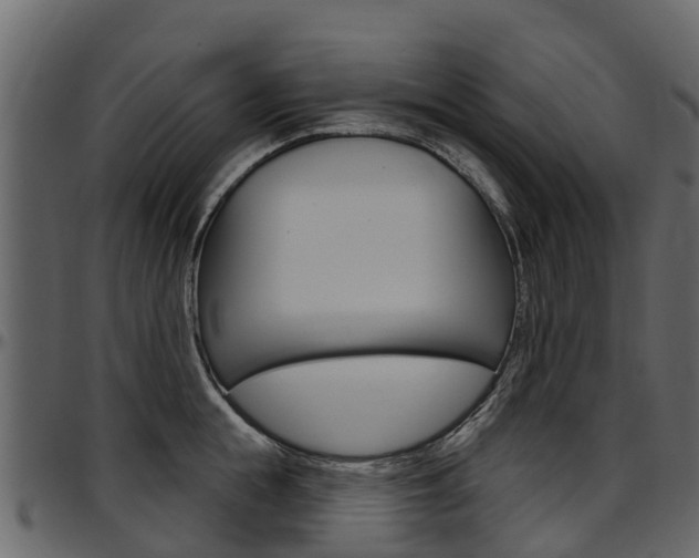 X0000097610855200802290754