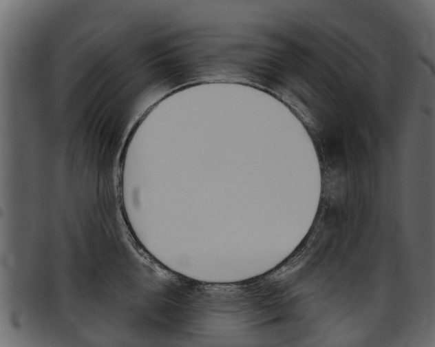 X0000097610856200802290754