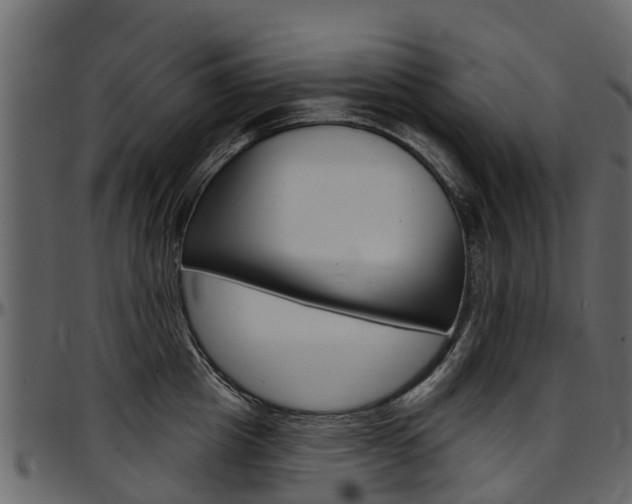 X0000097610857200802290754