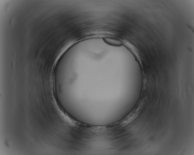 X0000097610859200802290754