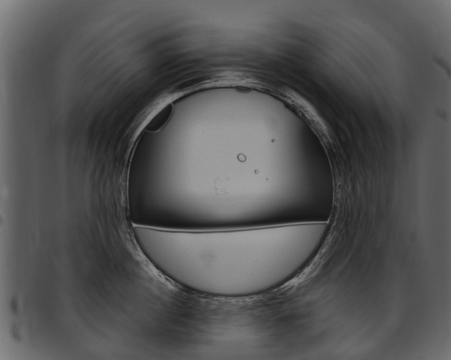 X0000097610860200802290754