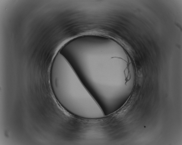 X0000097610862200802290754