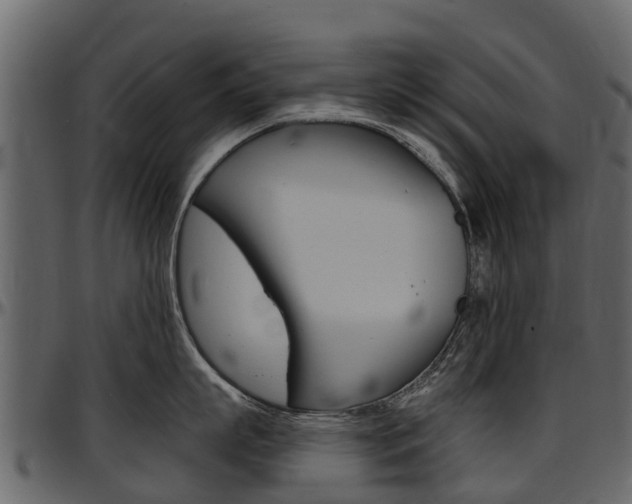 X0000097610863200802290754