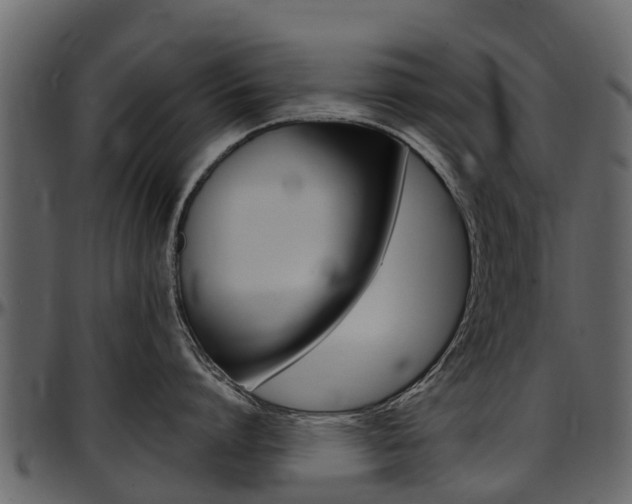 X0000097610864200802290754