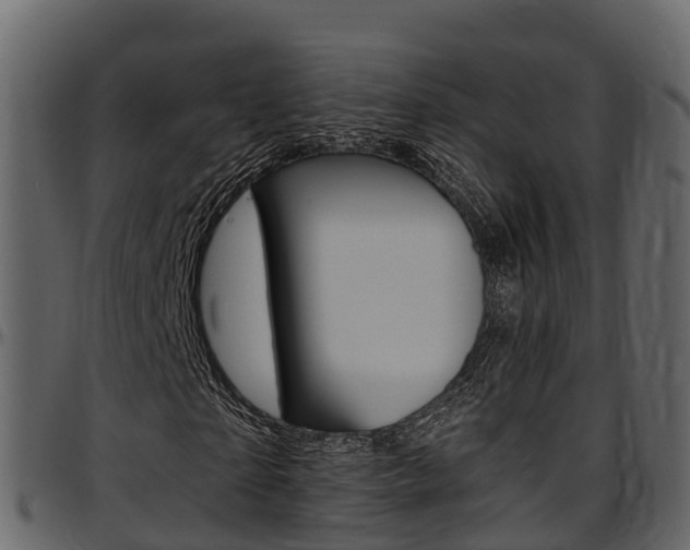 X0000097610865200802290754