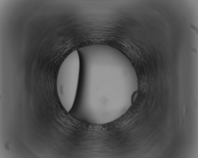 X0000097610866200802290754