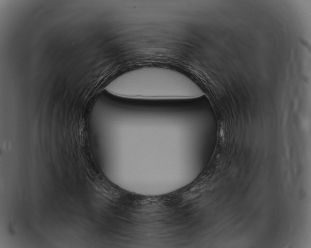 X0000097610867200802290754