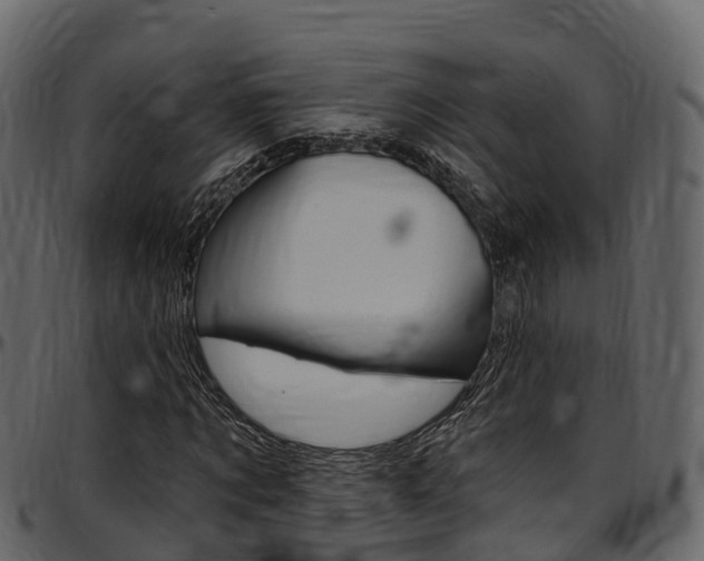 X0000097610869200802290754