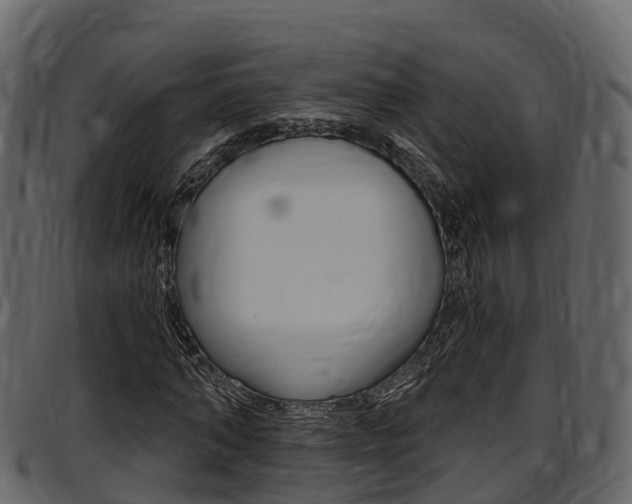 X0000097610870200802290754
