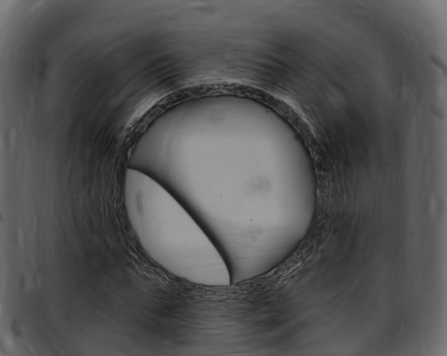 X0000097610871200802290754