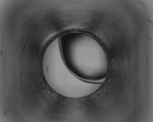 X0000097610872200802290754