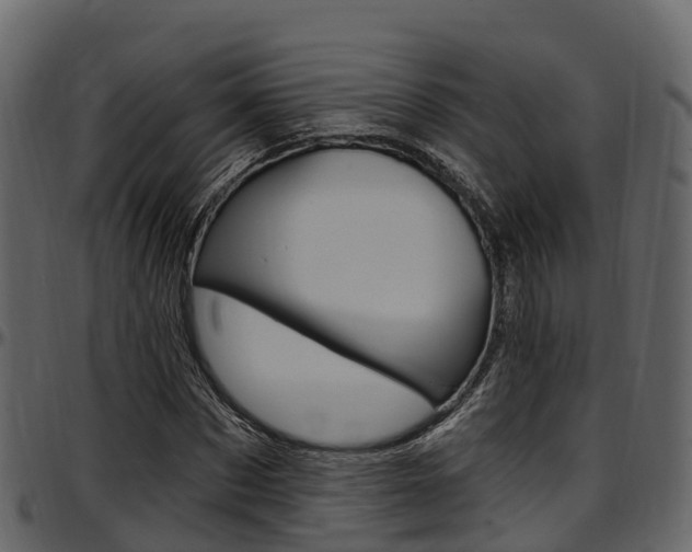 X0000097610873200802290754